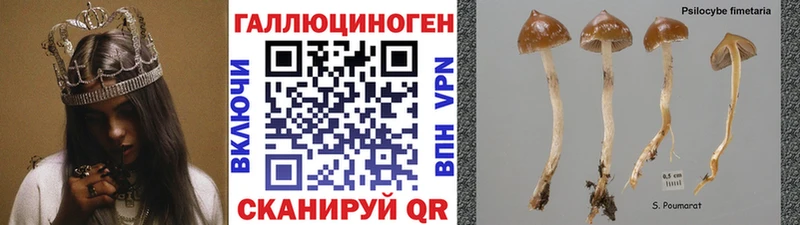 кракен зеркало  shop Telegram  Псилоцибиновые грибы мухоморы  Богородск 