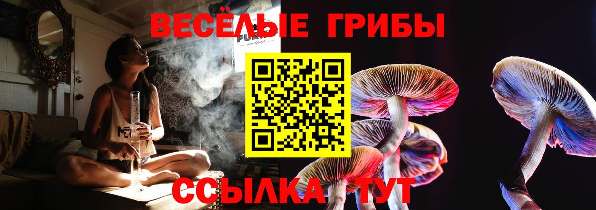 Богородск  Галлюциногенные грибы прущие грибы  Вход с VPN  Псилоцибиновые грибы мухоморы 